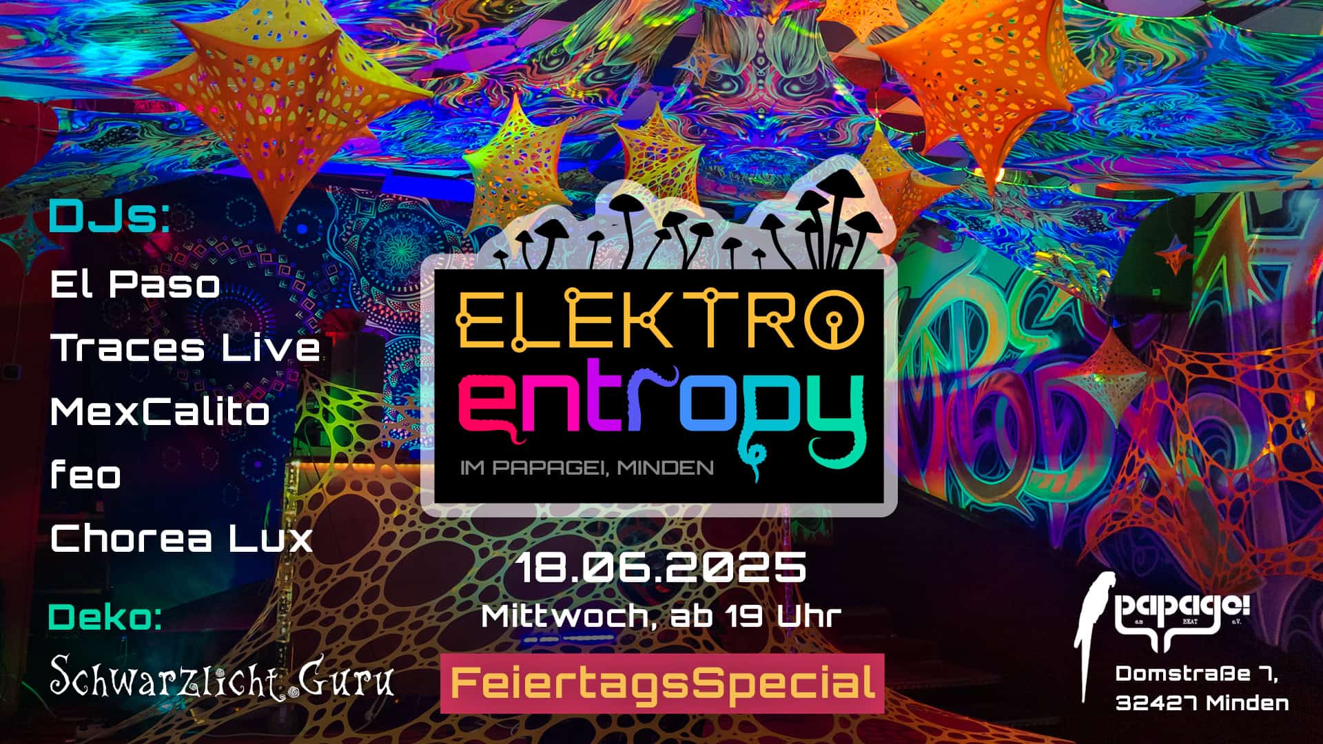 Flyer: elektro entropy - 18.06.2025